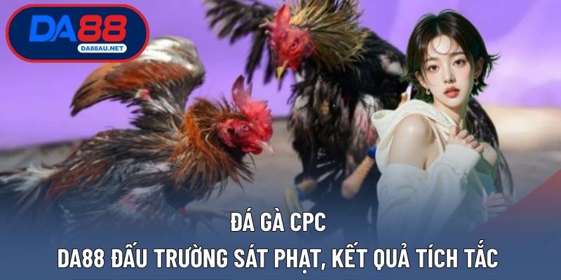 Đá gà cpc
