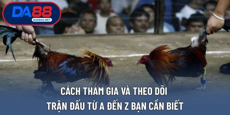 Cách tham gia và theo dõi trận đấu từ A đến Z bạn cần biết