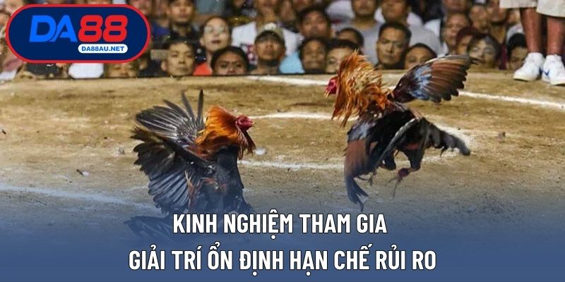 Kinh nghiệm tham gia giải trí ổn định hạn chế rủi ro