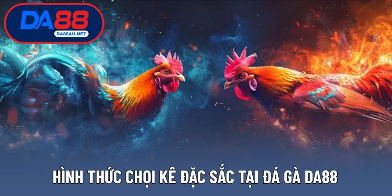 Các loại hình chọi kê nổi bật tại sảnh đá gà