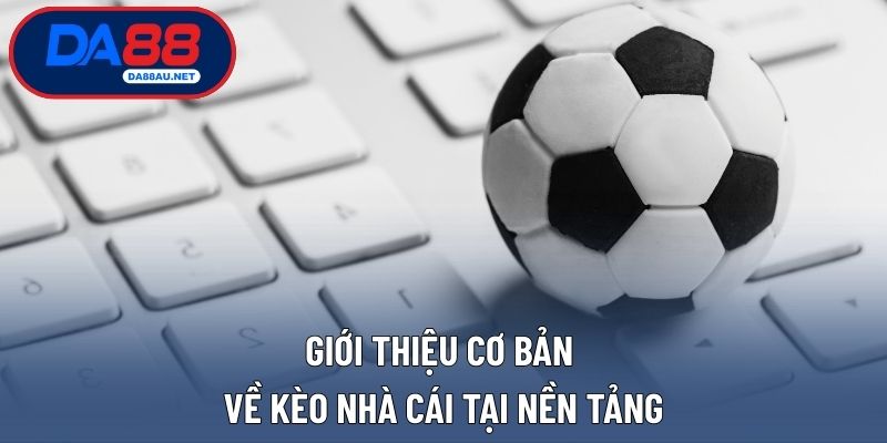 Giới thiệu cơ bản về kèo nhà cái tại nền tảng
