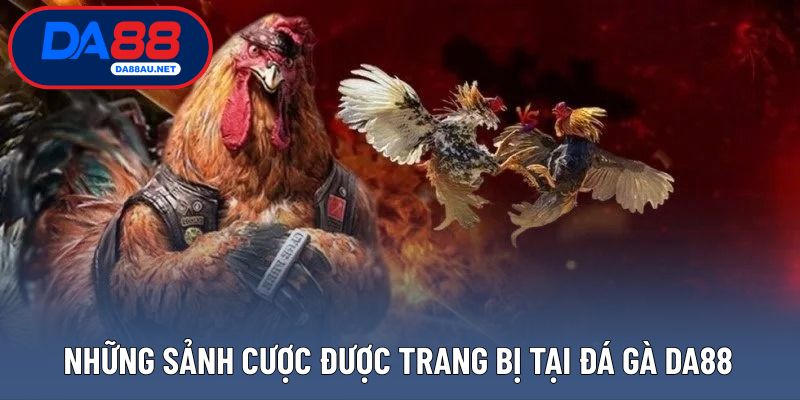 Các sảnh cược đa dạng được DA88 triển khai cho đá gà 